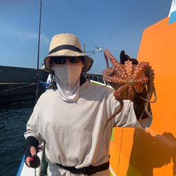 タコ