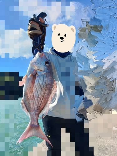 タイの釣果