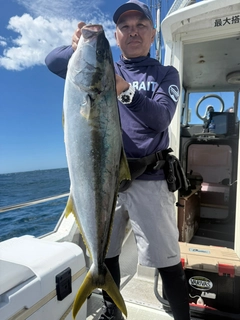 ヒラマサの釣果