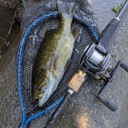 スモールマウスバス