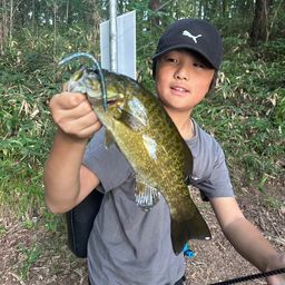 スモールマウスバス