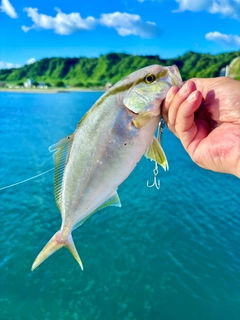 ネリゴの釣果