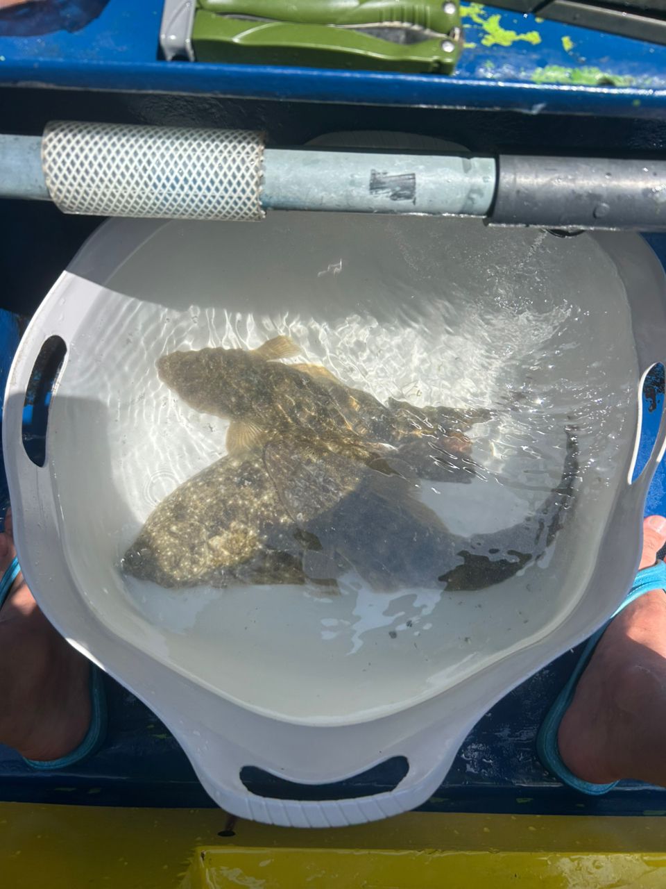 ユタさんさんの釣果 1枚目の画像