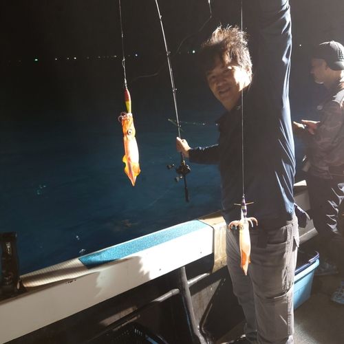 ヤリイカの釣果