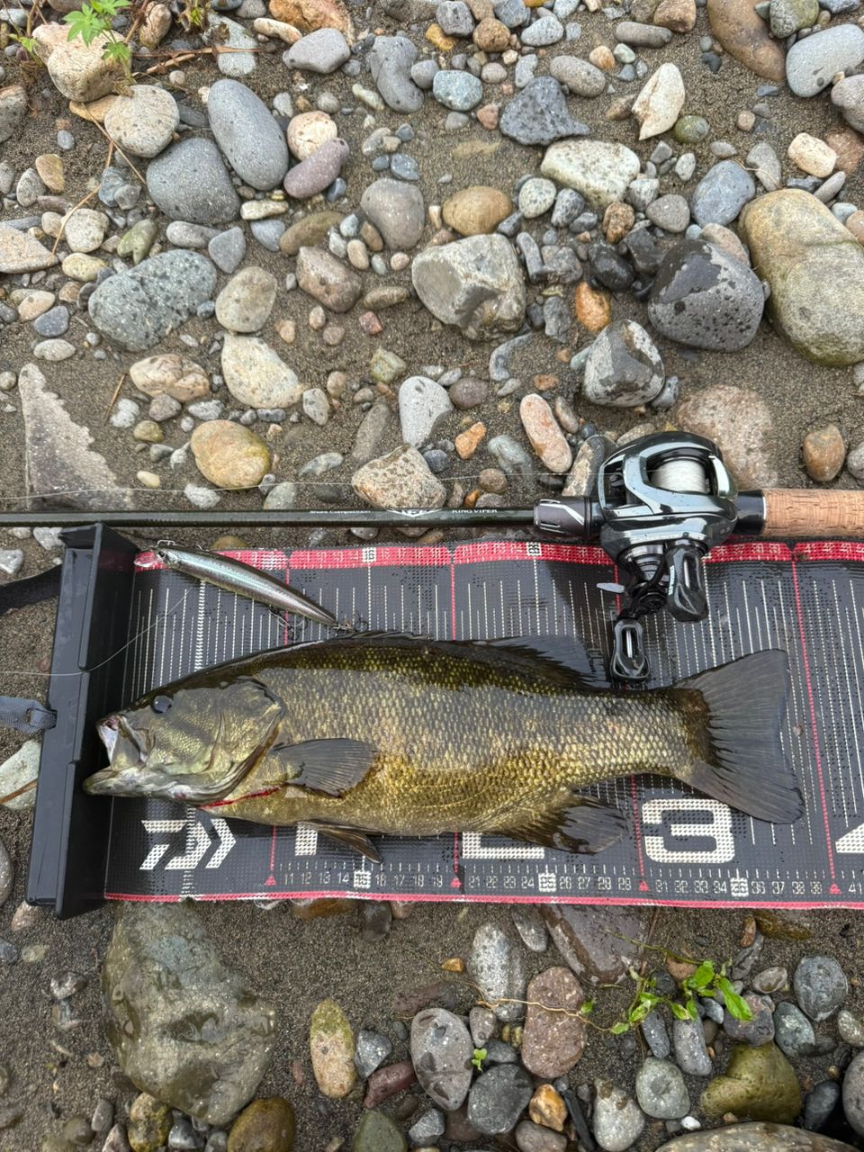 スモールマウスバス