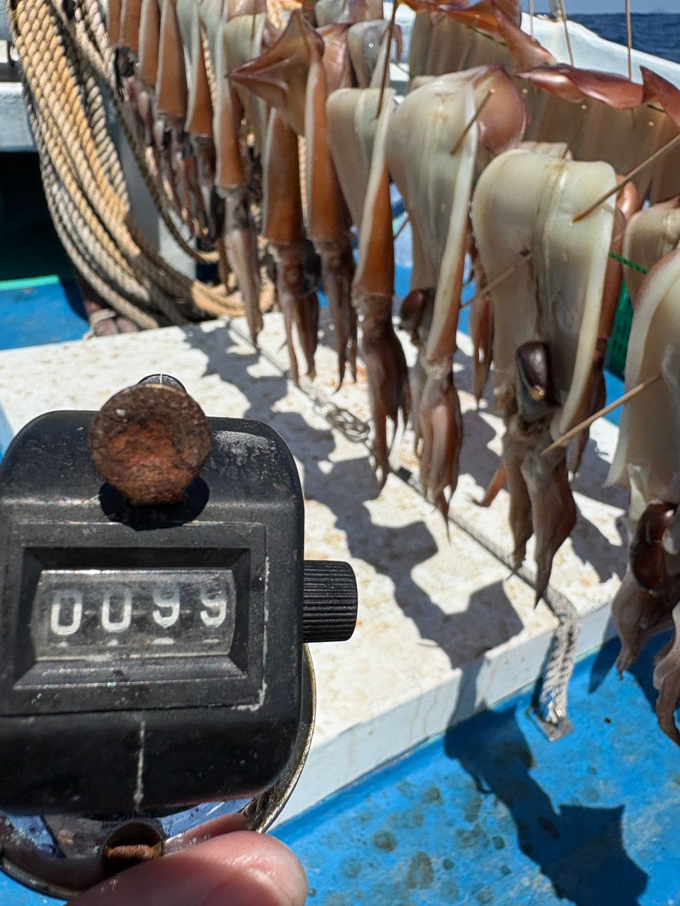 P.kobaさんの釣果 1枚目の画像