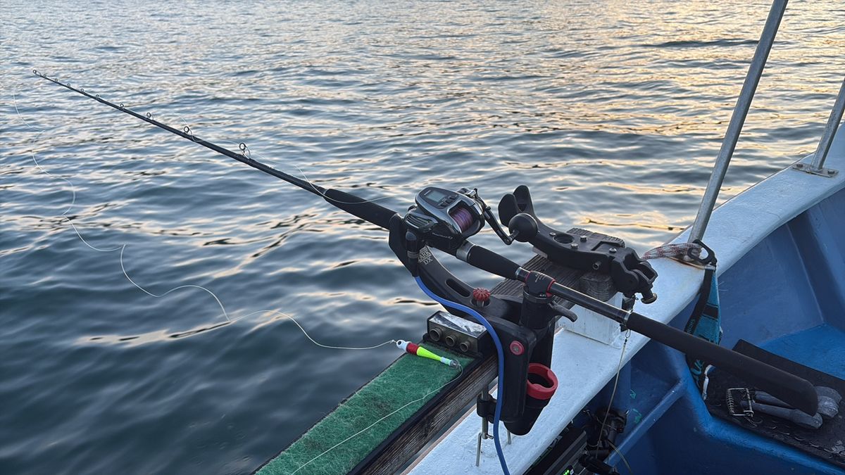 P.kobaさんの釣果 2枚目の画像