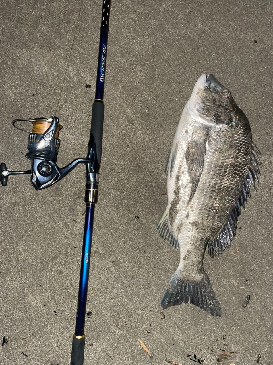 SHIMANO - シマノ SHIMANO 22ネッサ BB S106MH スピニング・3ピース … シマノ ネッサ BB S106MH (ロッド・釣竿) 価格比較 - 価格.com