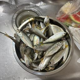 アジ