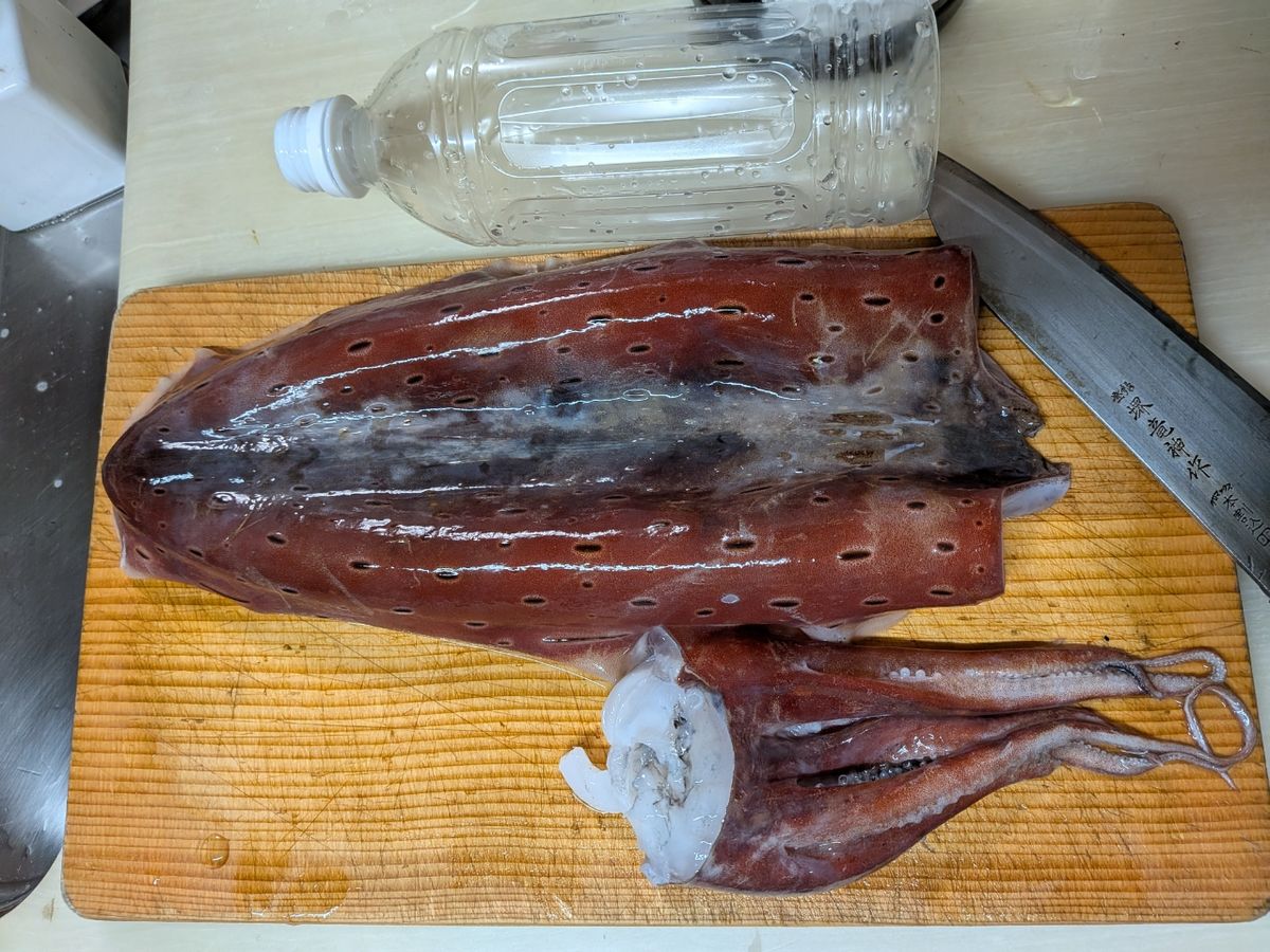 釣りする方のたかしーさんの釣果 2枚目の画像