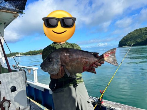 コロダイの釣果