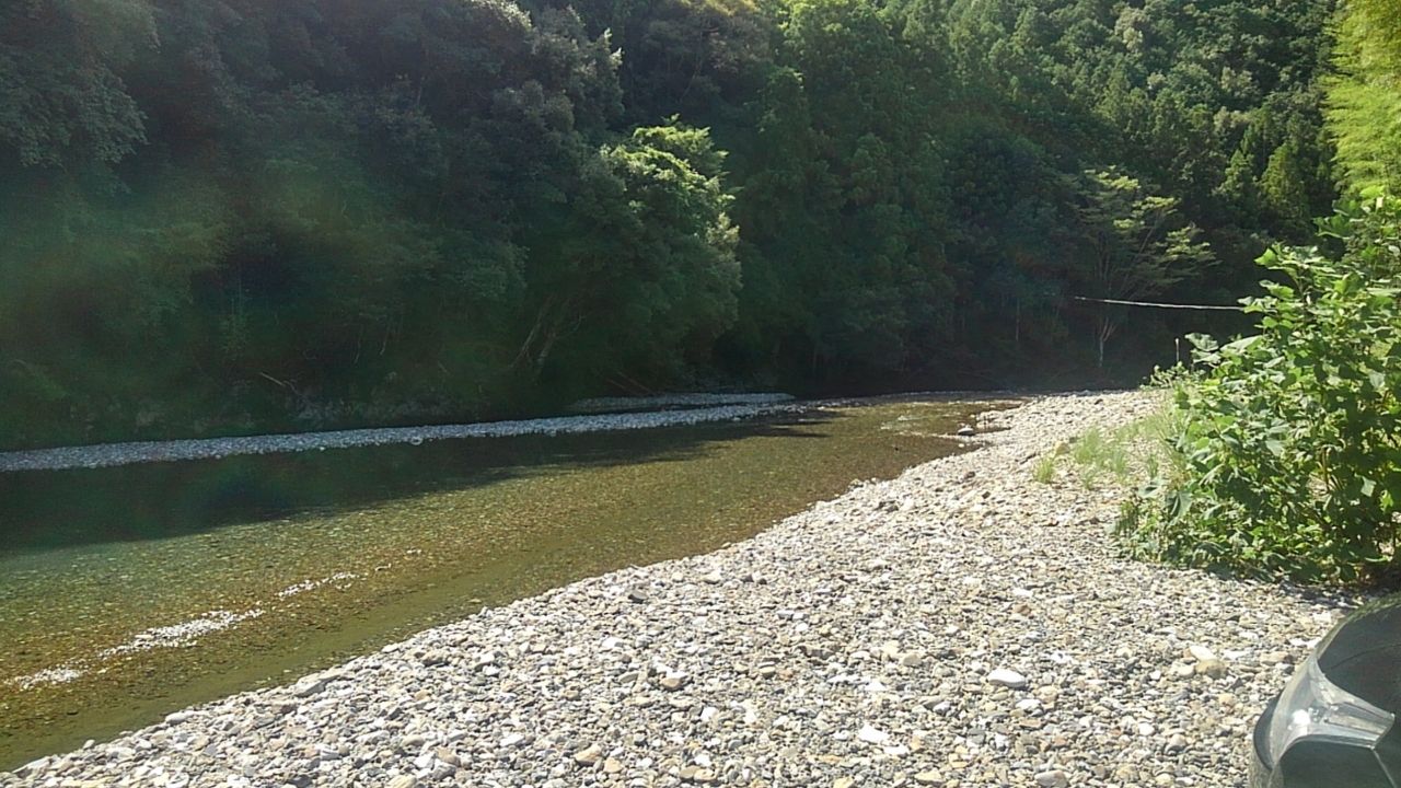 アユ