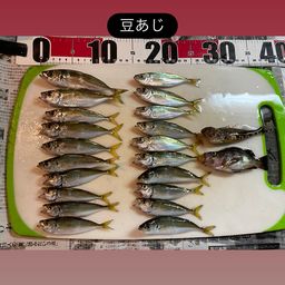 アジ