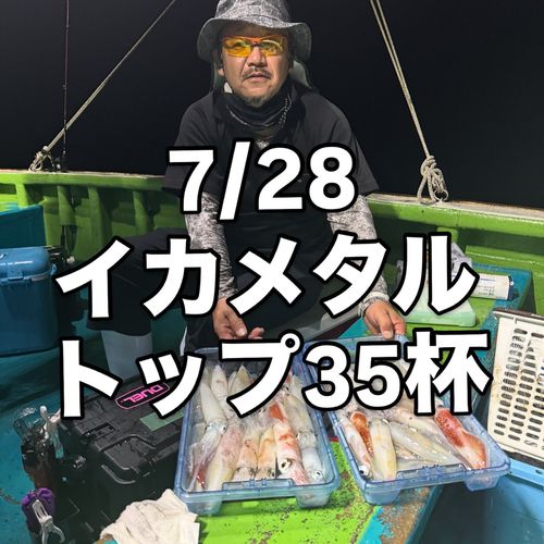 ケンサキイカの釣果