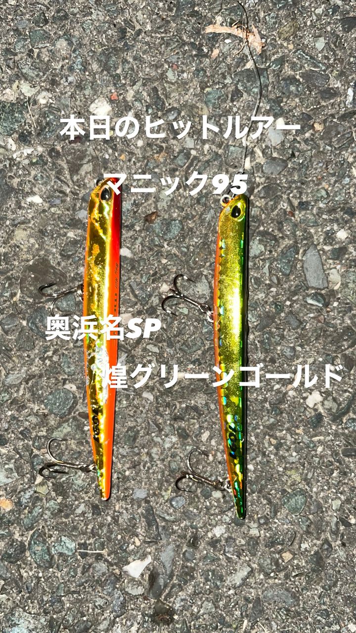 クロダイ