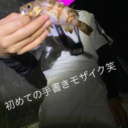 メバル