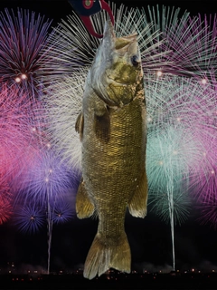 スモールマウスバスの釣果