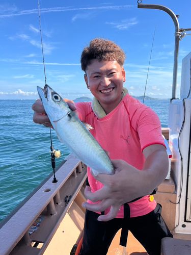 ブリの釣果