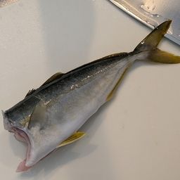 ワカシ