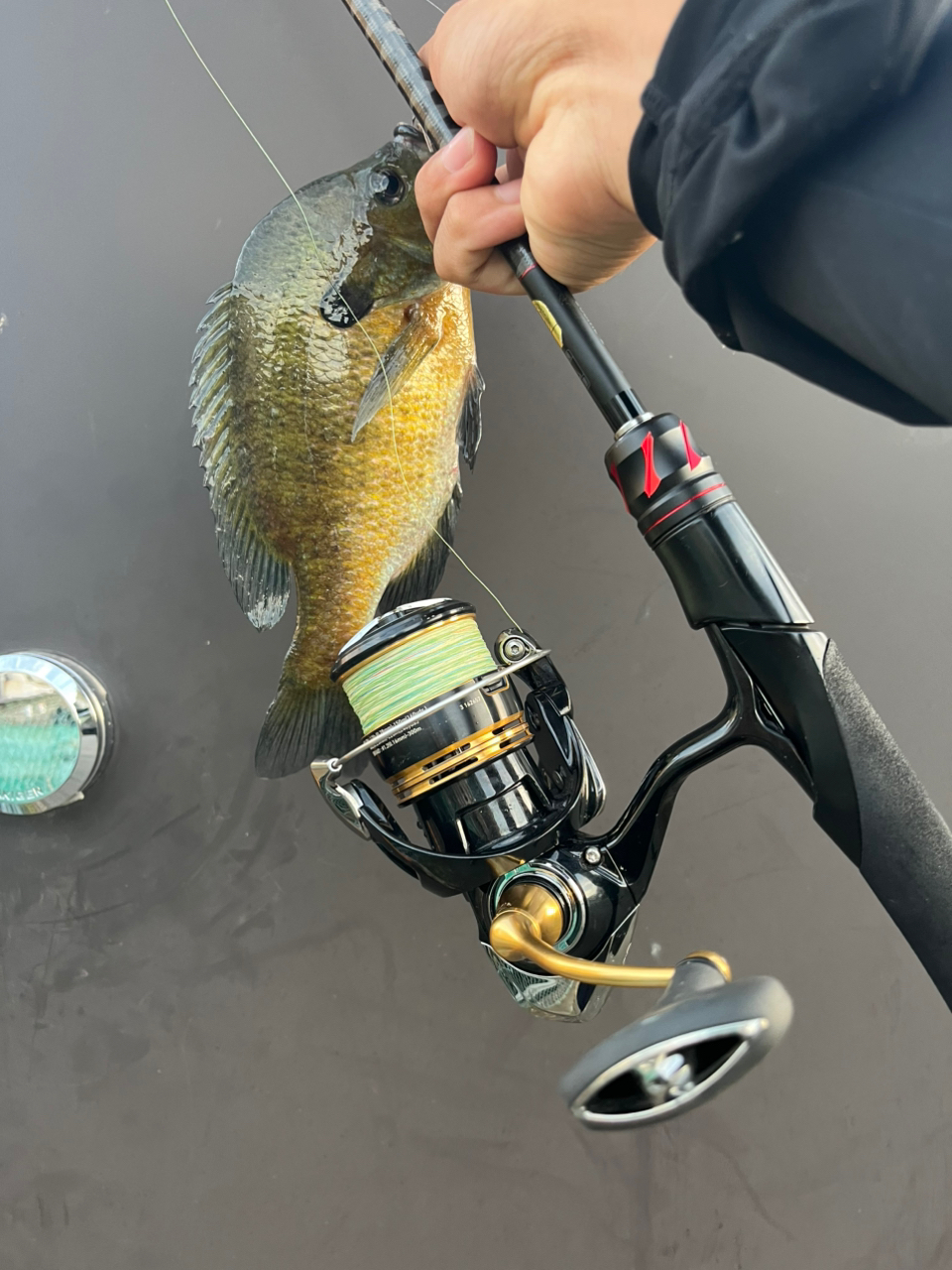 SHIMANO 20ゾディアス 268ML-2の最安値・インプレ・釣果 | 本音