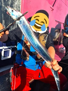 タチウオの釣果