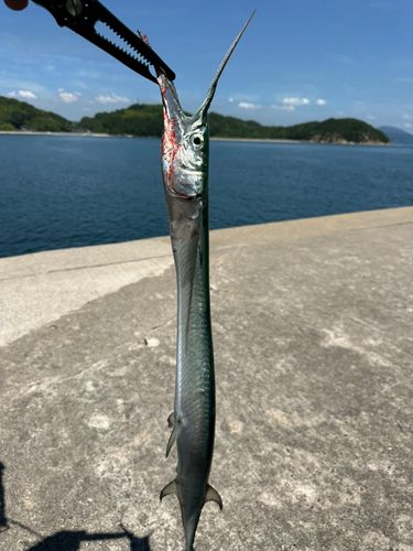 釣果