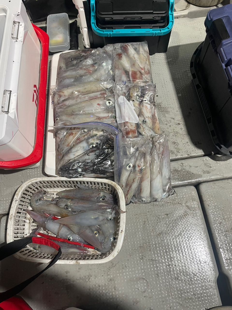 田畑良朗@なつき丸さんの釣果 2枚目の画像