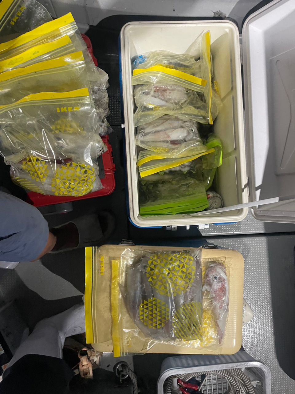 田畑良朗@なつき丸さんの釣果 3枚目の画像