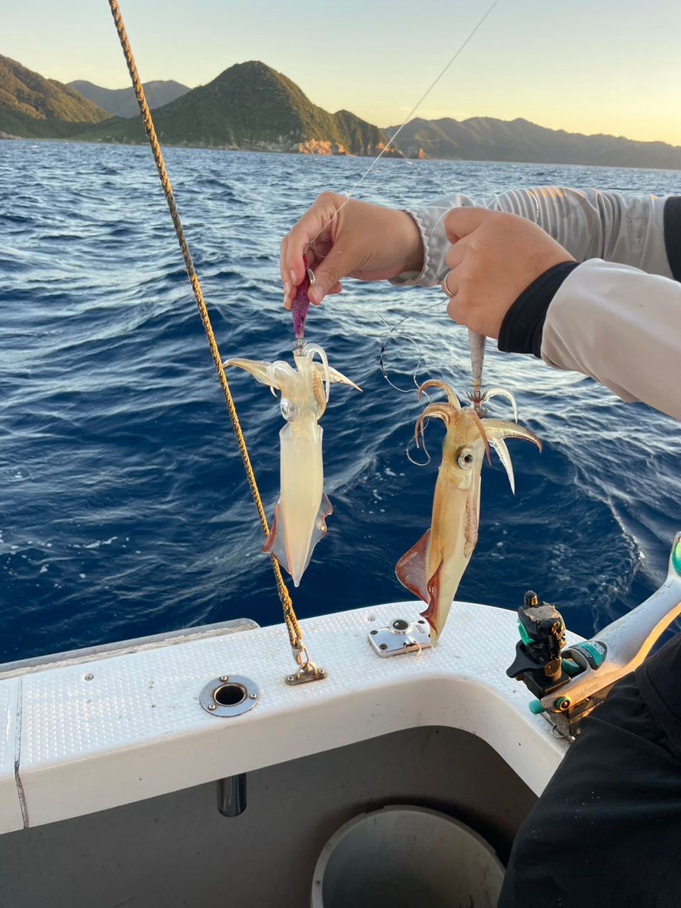 田畑良朗@なつき丸さんの釣果 2枚目の画像