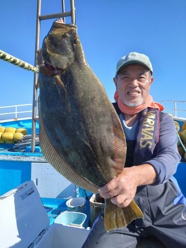 ヒラメの釣果