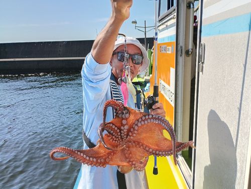 タコの釣果