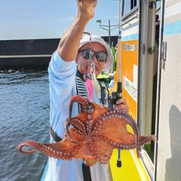 タコ