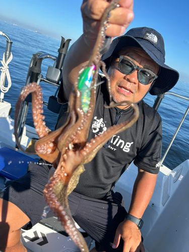 釣果