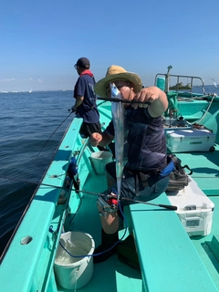 タチウオの釣果