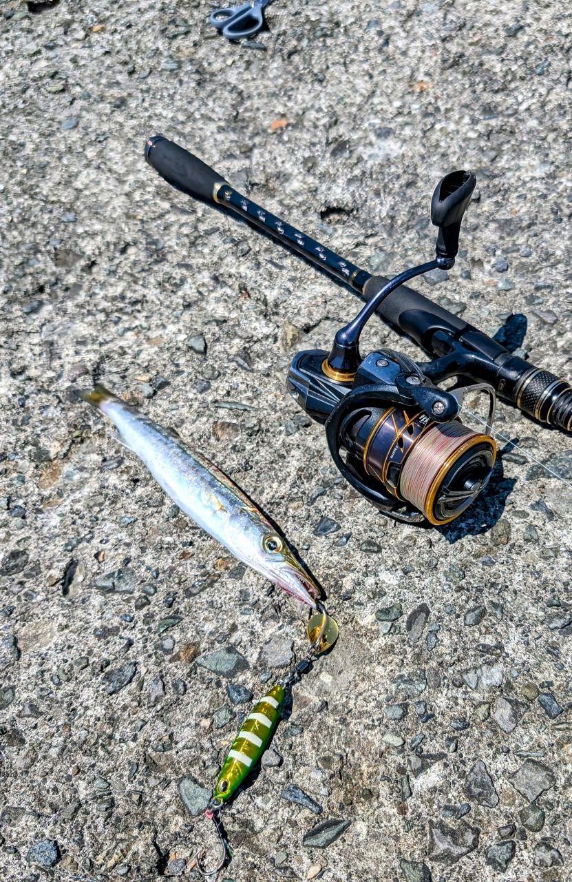 AbuGarcia クロスフィールド XRFS-902MLの最安値・インプレ