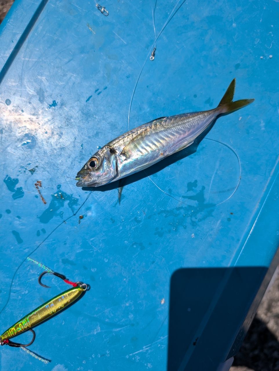 AbuGarcia クロスフィールド XRFS-902MLの最安値・インプレ