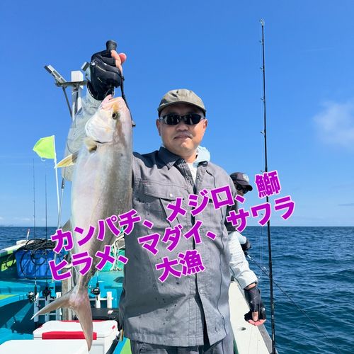 カンパチの釣果