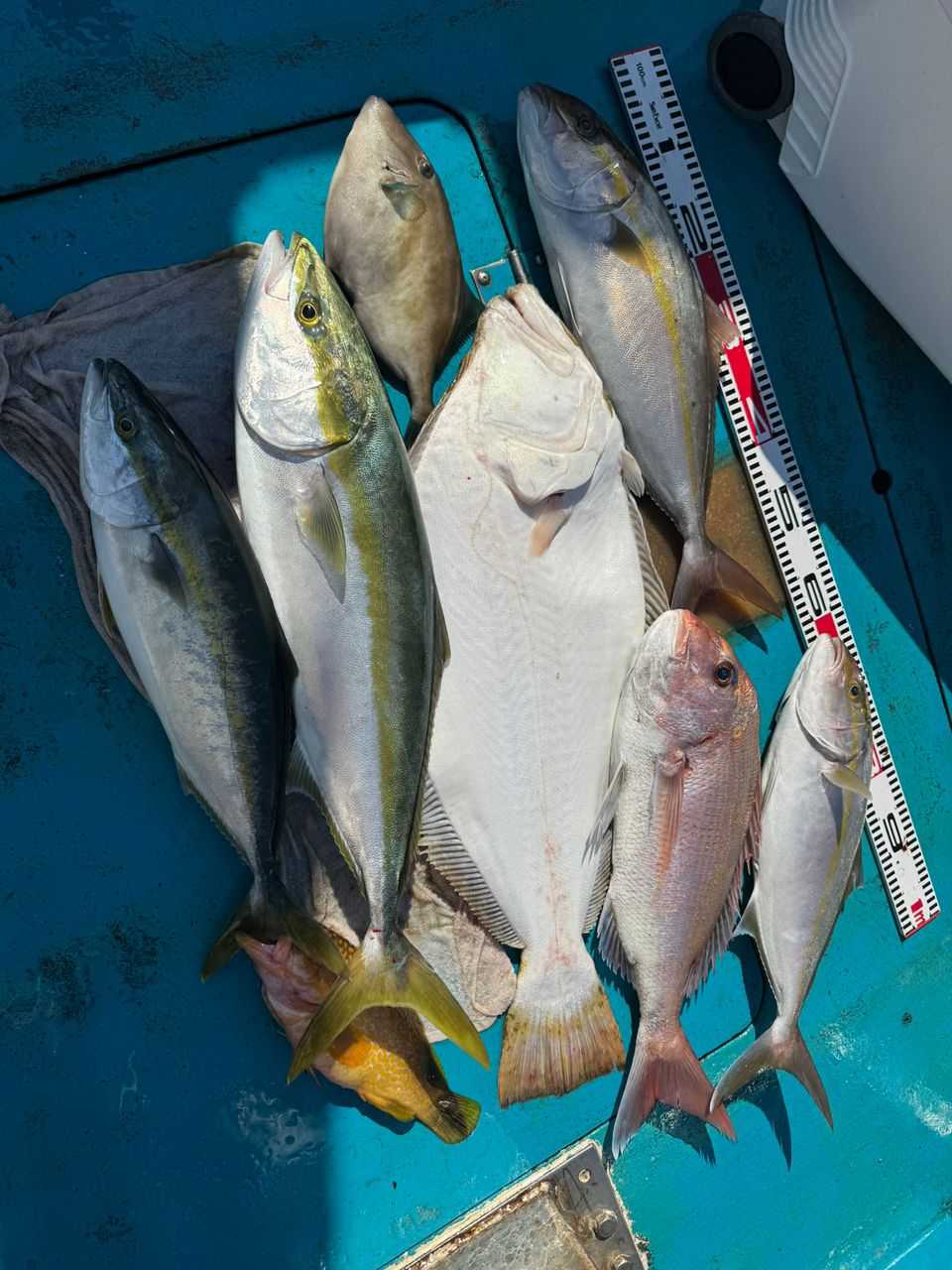 清和丸さんの釣果 2枚目の画像