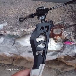 セイゴ（マルスズキ）