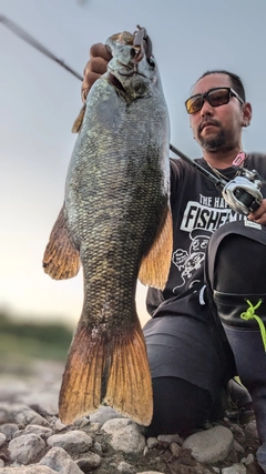 スモールマウスバスの釣果