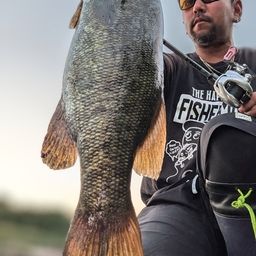 スモールマウスバス