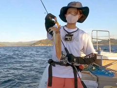 ケンサキイカの釣果
