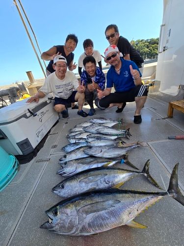 キメジの釣果