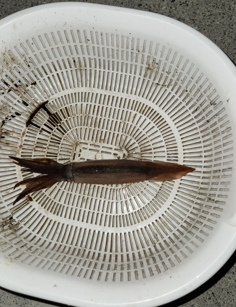 アジ