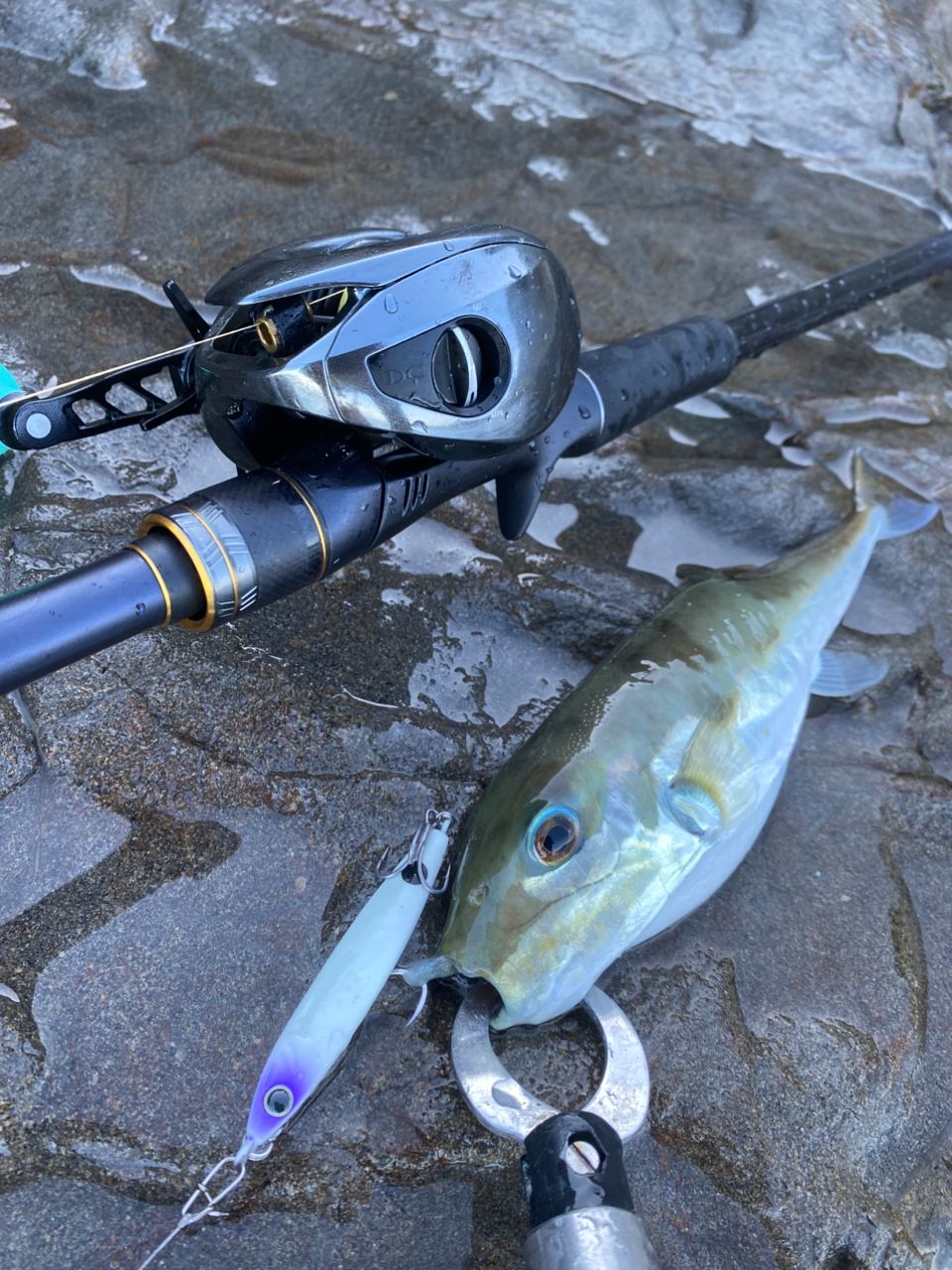 【美品】SHIMANO NESSA XR B104M+ 3ピース シマノ(SHIMANO) ネッサ XR B104M+ ネッサ[NESSA] (サーフヒラメ