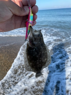 ソゲの釣果
