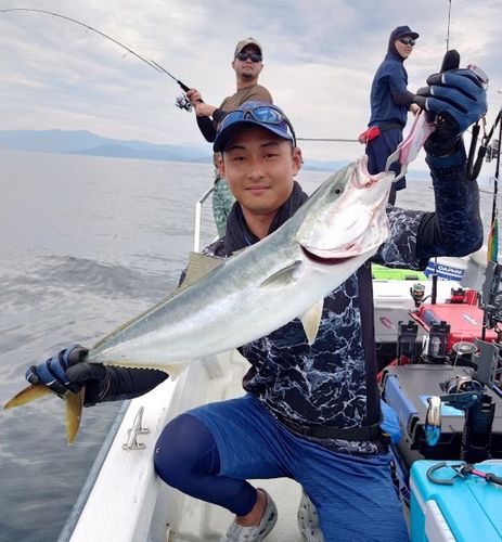 ワラサの釣果