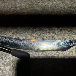 タチウオ