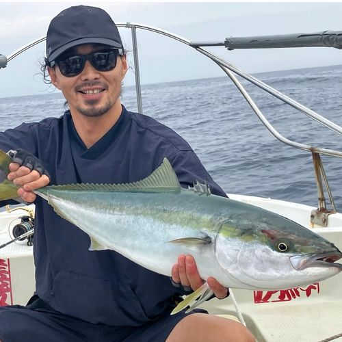 ブリの釣果