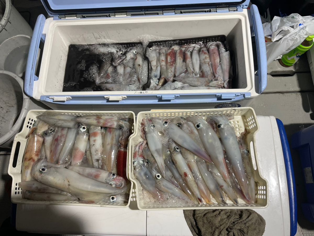 田畑良朗@なつき丸さんの釣果 2枚目の画像